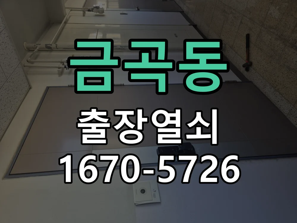 화성시 금곡동 열쇠·도어락 출장