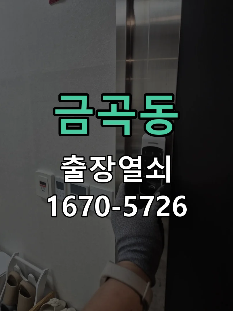 화성시 금곡동 출장 열쇠 작업 진행 장면